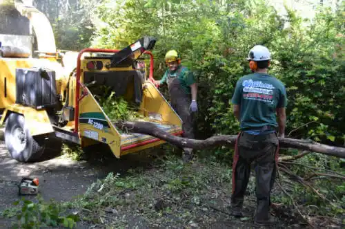 tree services Basehor